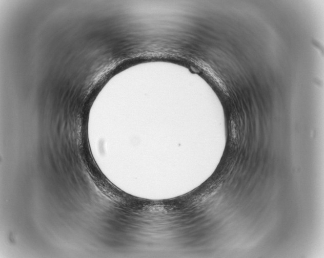 X0000094970588200712271744