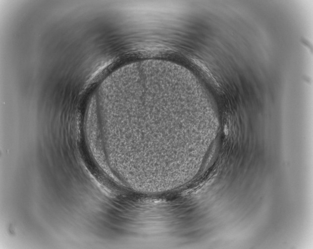 X0000094970590200712271744