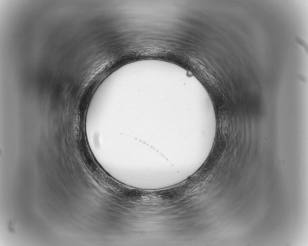 X0000094970591200712271744