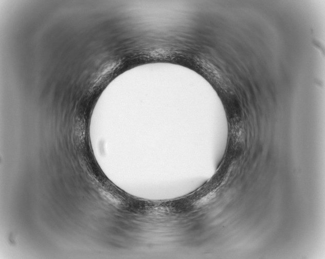 X0000094970593200712271744