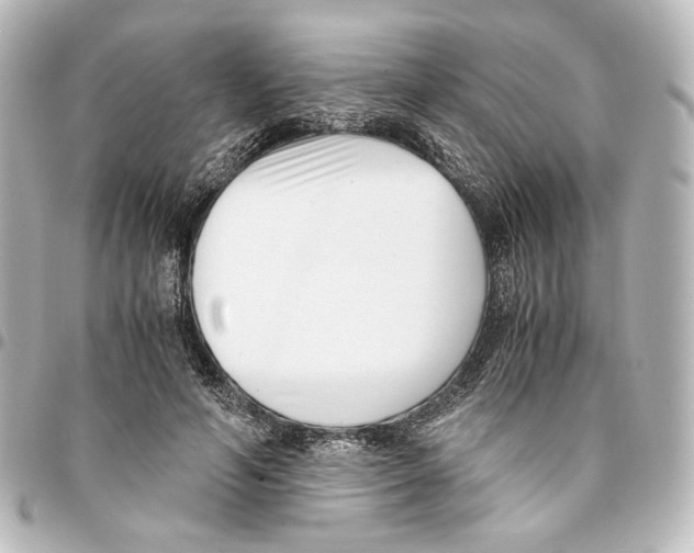 X0000094970594200712271744