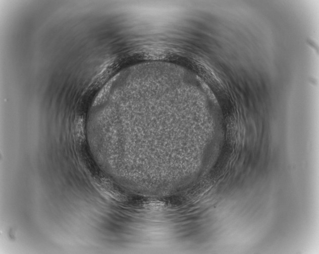 X0000094970598200712271744