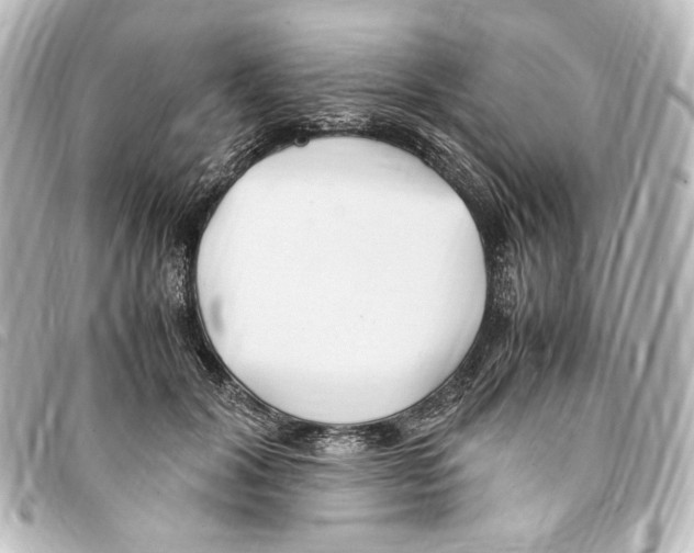 X0000094970604200712271744