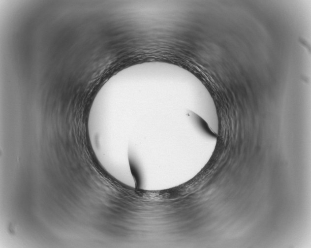 X0000094970613200712271744