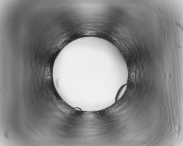 X0000094970620200712271744