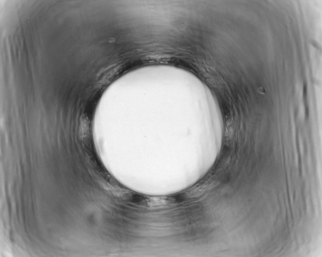 X0000094970623200712271744