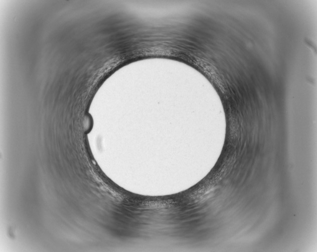 X0000094970625200712271743