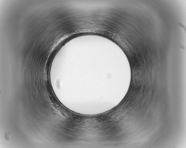 X0000094970628200712271743