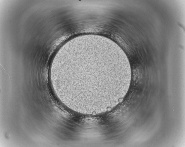 X0000094970632200712271743