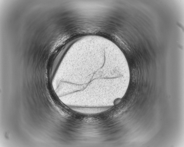 X0000094970634200712271743