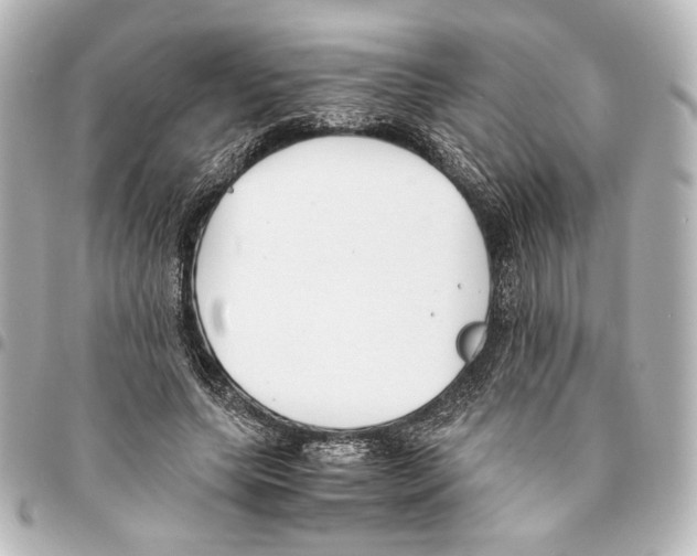 X0000094970639200712271743
