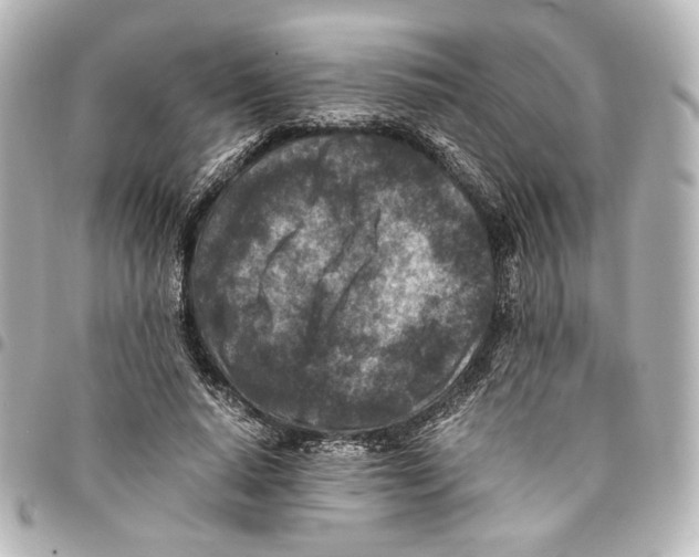 X0000094970640200712271743