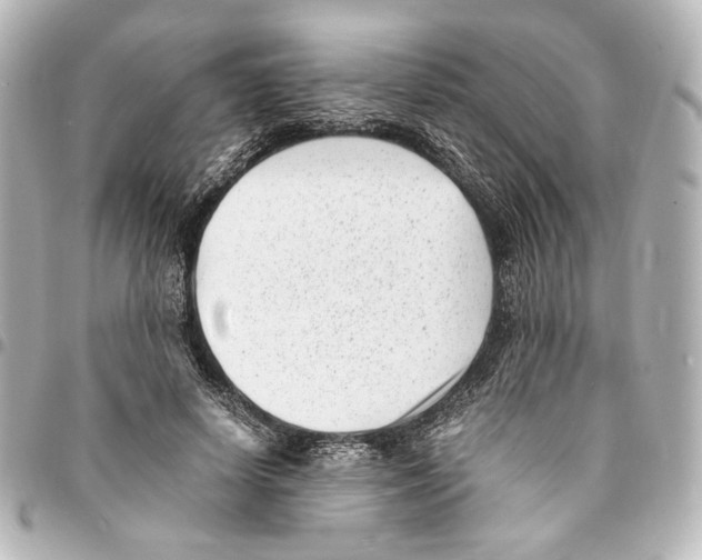 X0000094970642200712271743