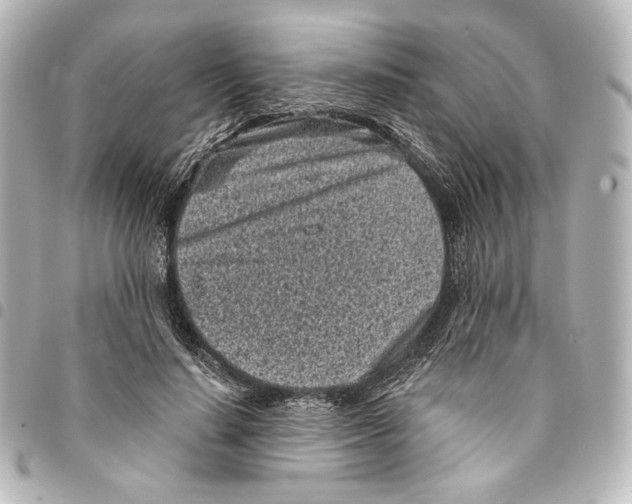 X0000094970644200712271743