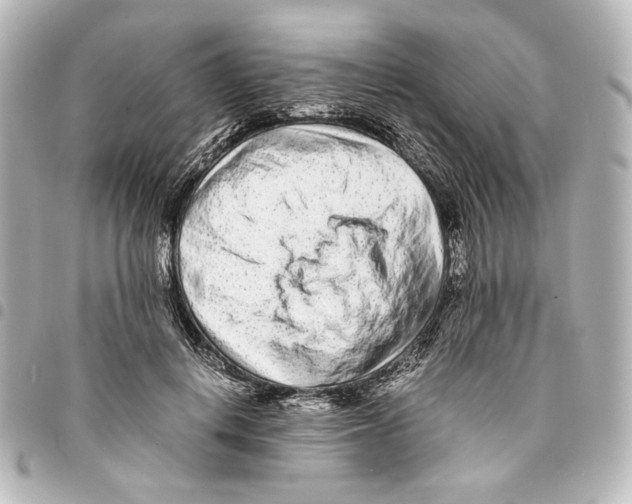 X0000094970648200712271743