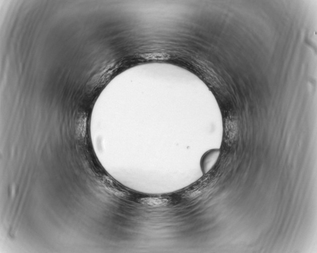 X0000094970652200712271743