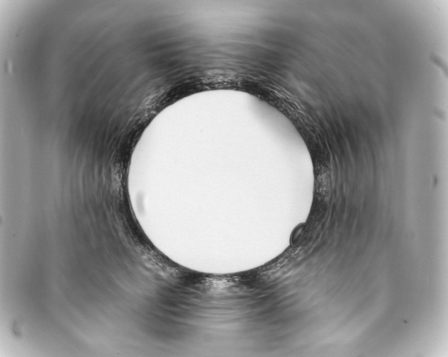 X0000094970662200712271744