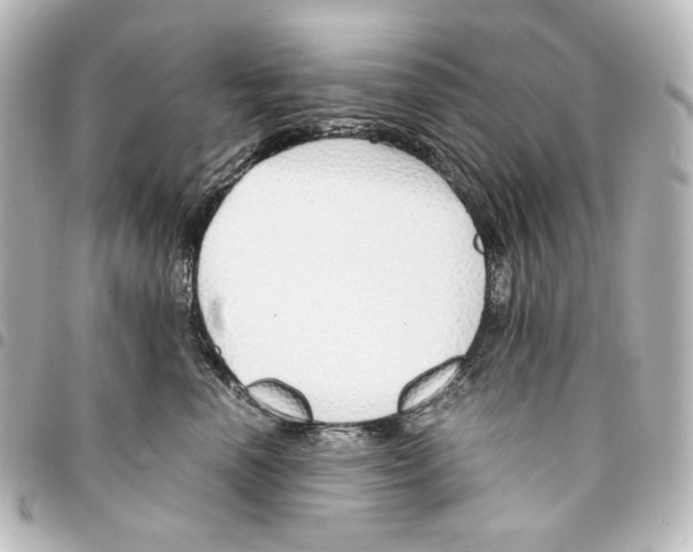 X0000094970666200712271744