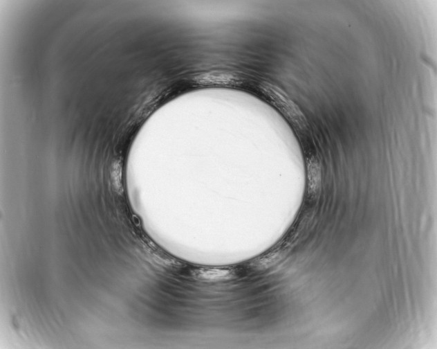 X0000094970669200712271744