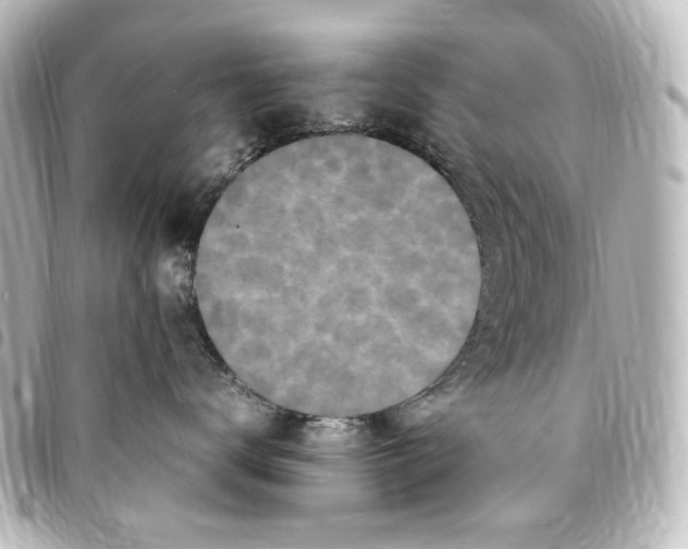 X0000094970672200712271744