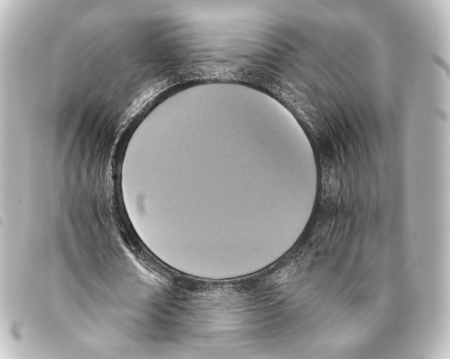 X0000094970674200712271743
