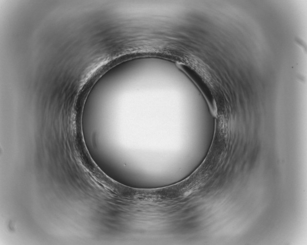 X0000094970676200712271743