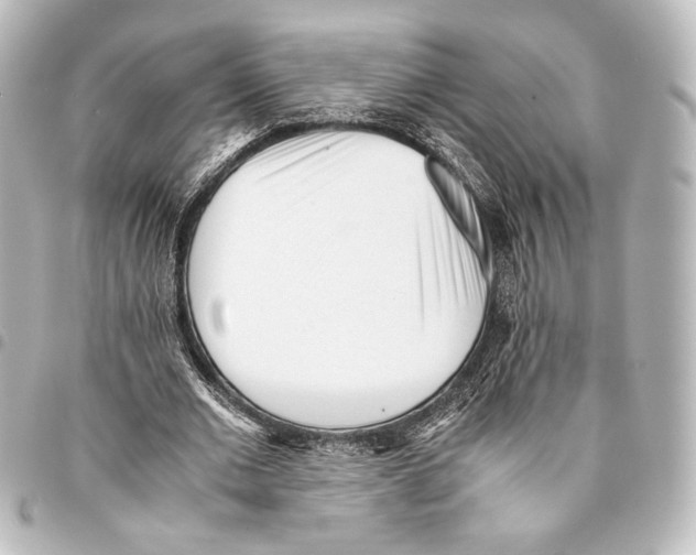 X0000094970677200712271743