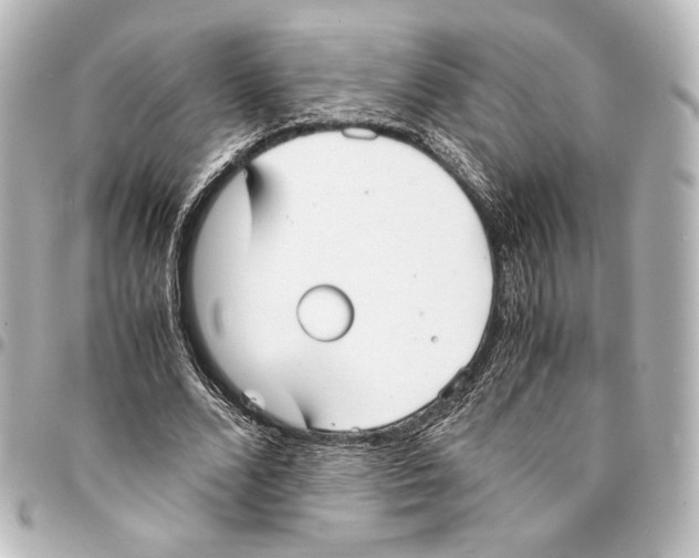 X0000094970680200712271743