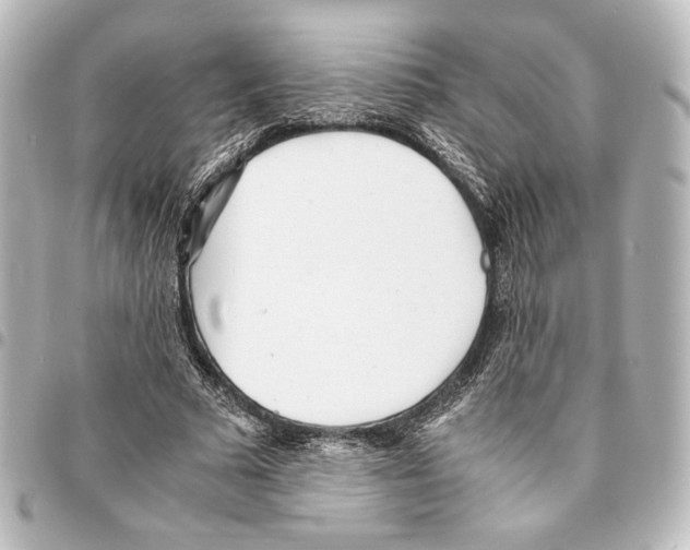 X0000094970681200712271743