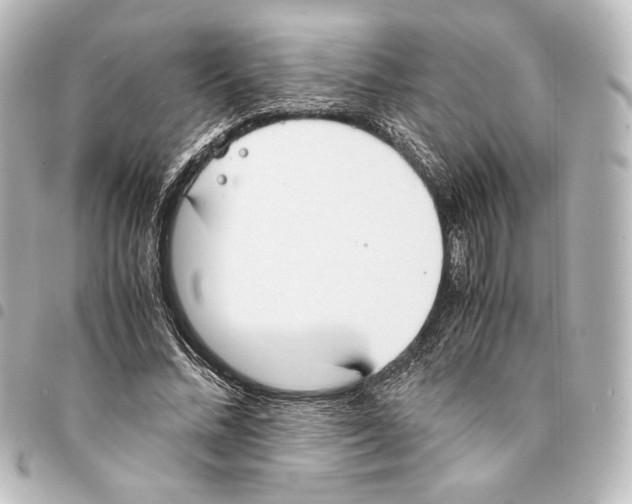 X0000094970684200712271743