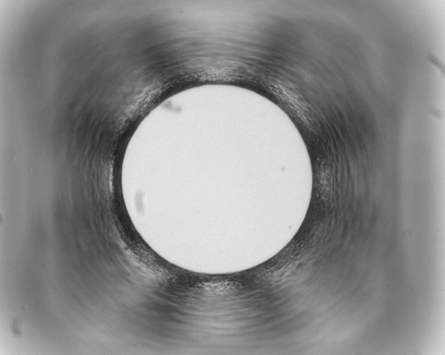X0000094970686200712271743
