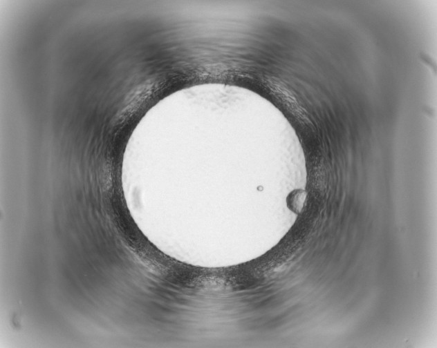 X0000094970687200712271743