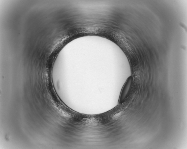 X0000094970688200712271743