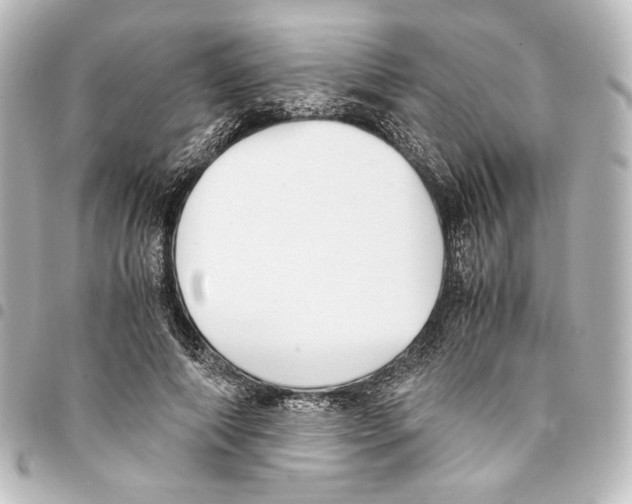 X0000094970690200712271743