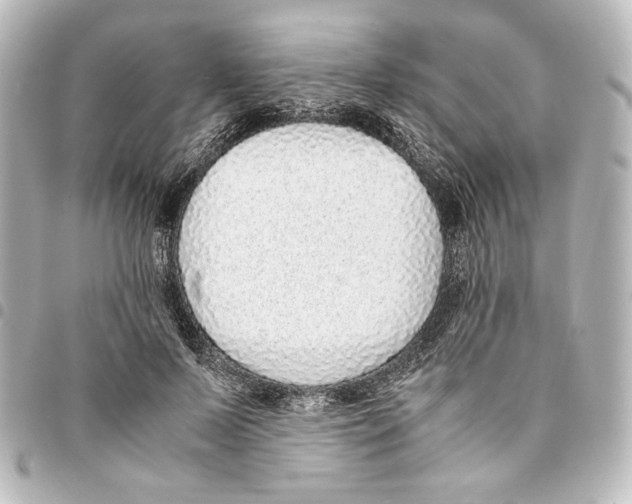 X0000094970695200712271743