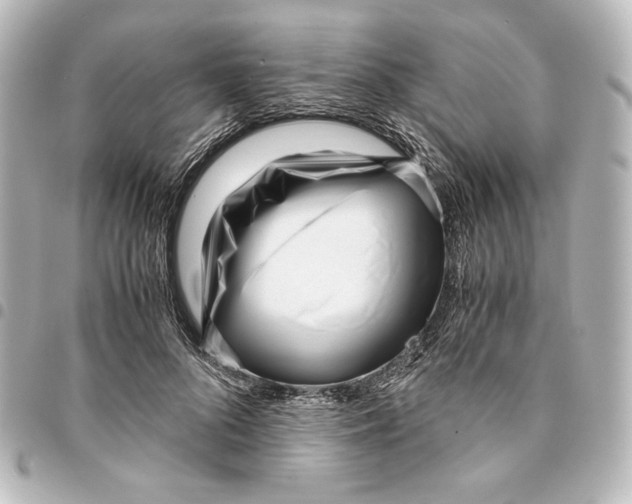 X0000094970696200712271743