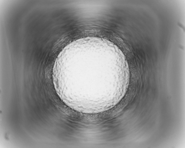 X0000094970705200712271743