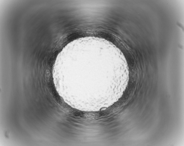 X0000094970707200712271743