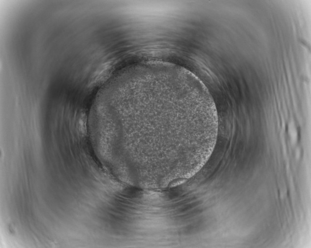 X0000094970718200712271742