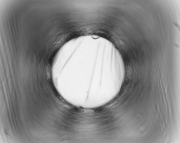 X0000094970719200712271742