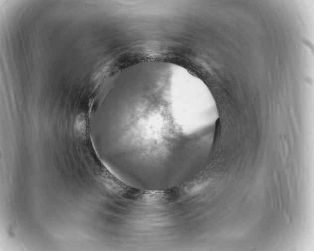 X0000094970720200712271742