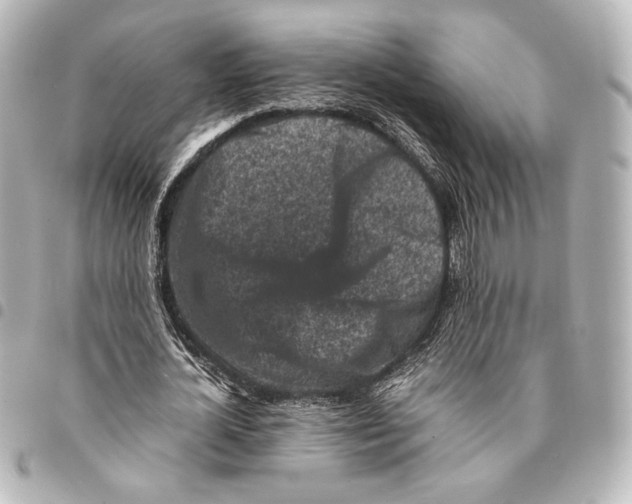 X0000094970724200712271742