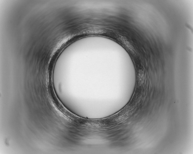 X0000094970726200712271742