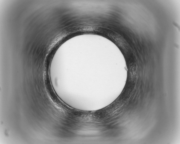 X0000094970728200712271742