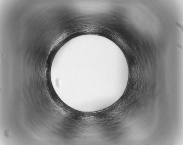 X0000094970730200712271742