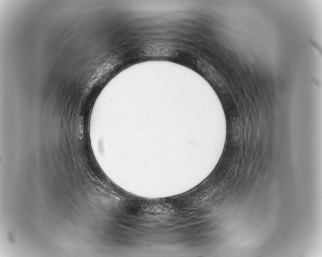 X0000094970731200712271742