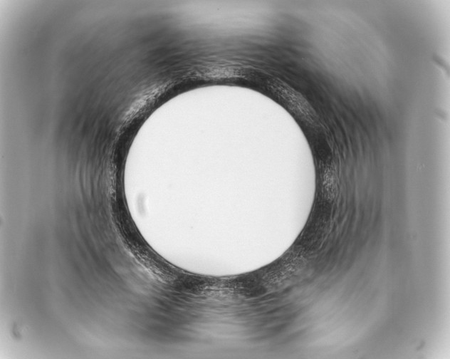 X0000094970732200712271742