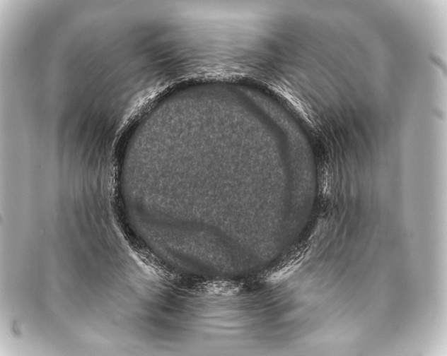 X0000094970736200712271742