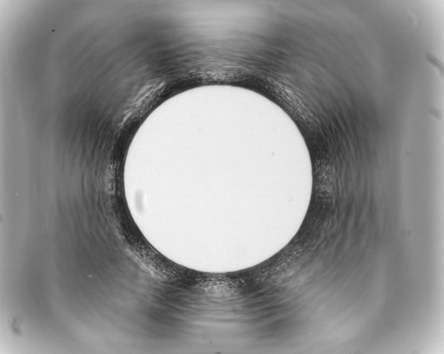 X0000094970738200712271742