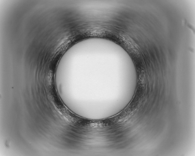 X0000094970744200712271742